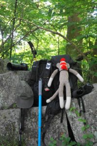 Hiking backpack, walking stick, camera, and hat