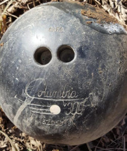 bowling ball in the wilderness