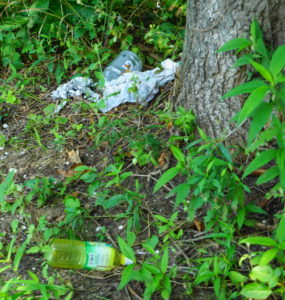 Trash and plastic bottles at the foot of a tree