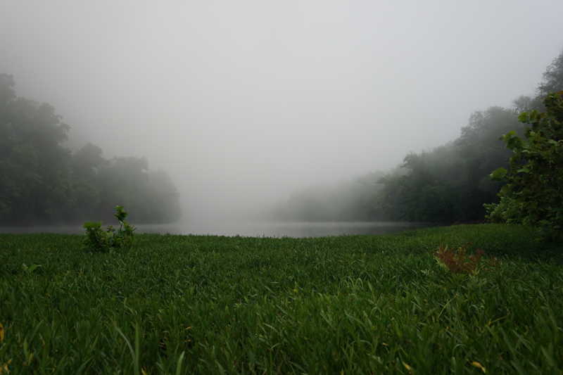 foggy river